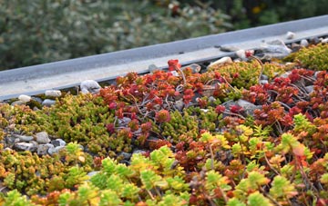 the cost of Lent green roof installation